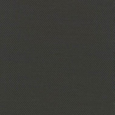 Plecto C0284