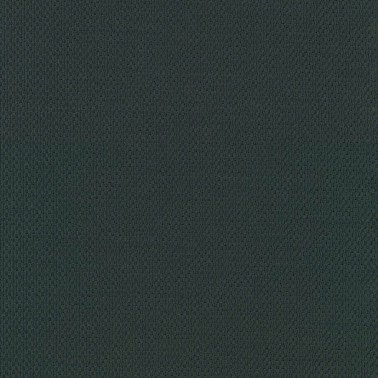 Plecto C0984