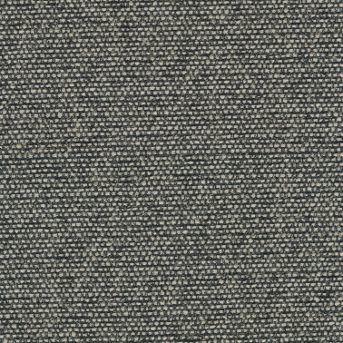 Savanna C0152