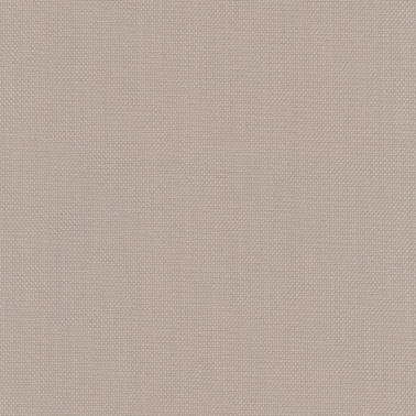 Steelcut Trio 3 C0226