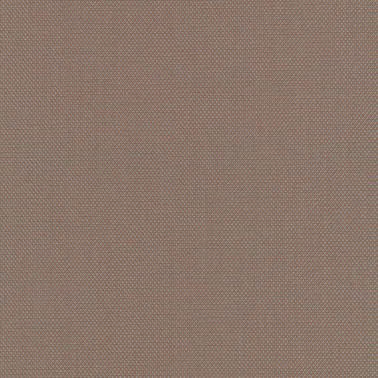 Steelcut Trio 3 C0426
