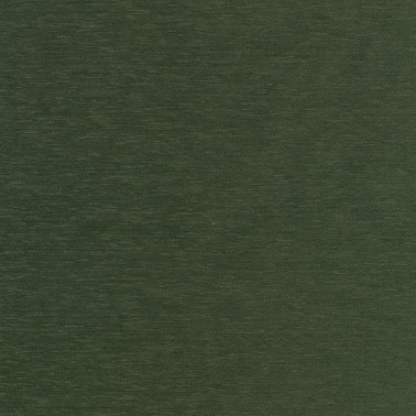 Still C0981