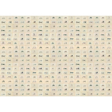 CARROZZE BEIGE