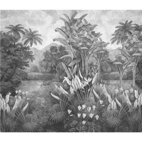 MARTINIQUE GRAPHITE