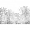TROPICALIS GRAPHITE