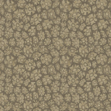 Savanna Shell 119-4020