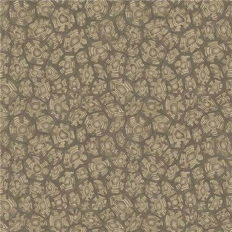 Savanna Shell 119-4020