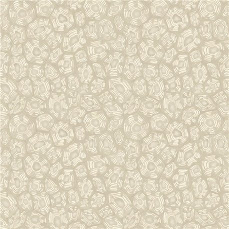 Savanna Shell 119-4021