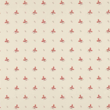 Ashling Pink 07406-04