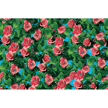 11TP-01 EYES & ROSES