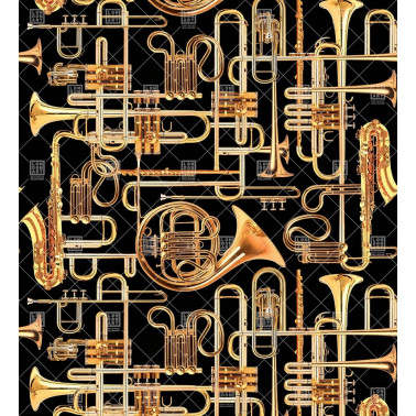 13TP-01 DONALD TRUMPET