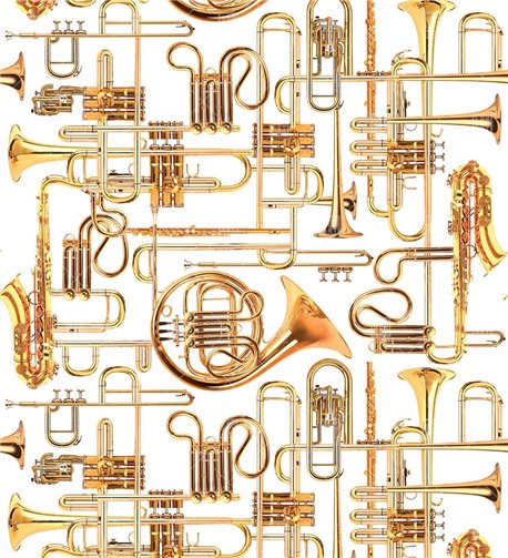 DONALD TRUMPET 13TP-02