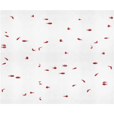 Pesci rossi 18511-01