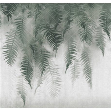 The breath of ferns 18517-1