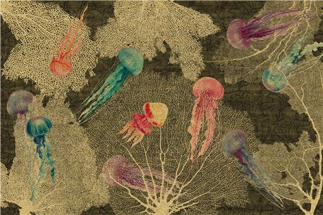 JELLYFISH