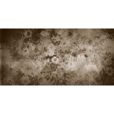 CANOPO 02