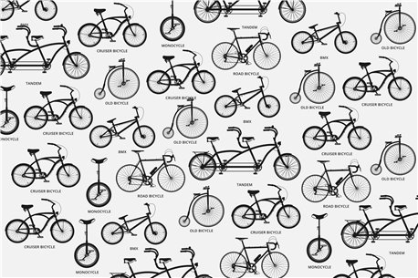BICYCLE 02