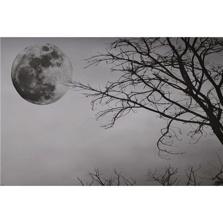 FULL MOON 01