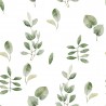 EUCALIPTO VERDE