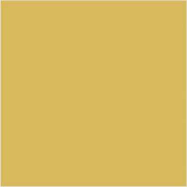 Light Gold N-53