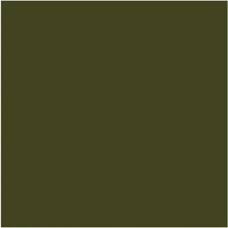Olive Colour N-72