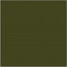 Olive Colour N-72