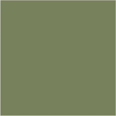 Sage Green N-80