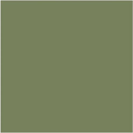 Sage Green N-80