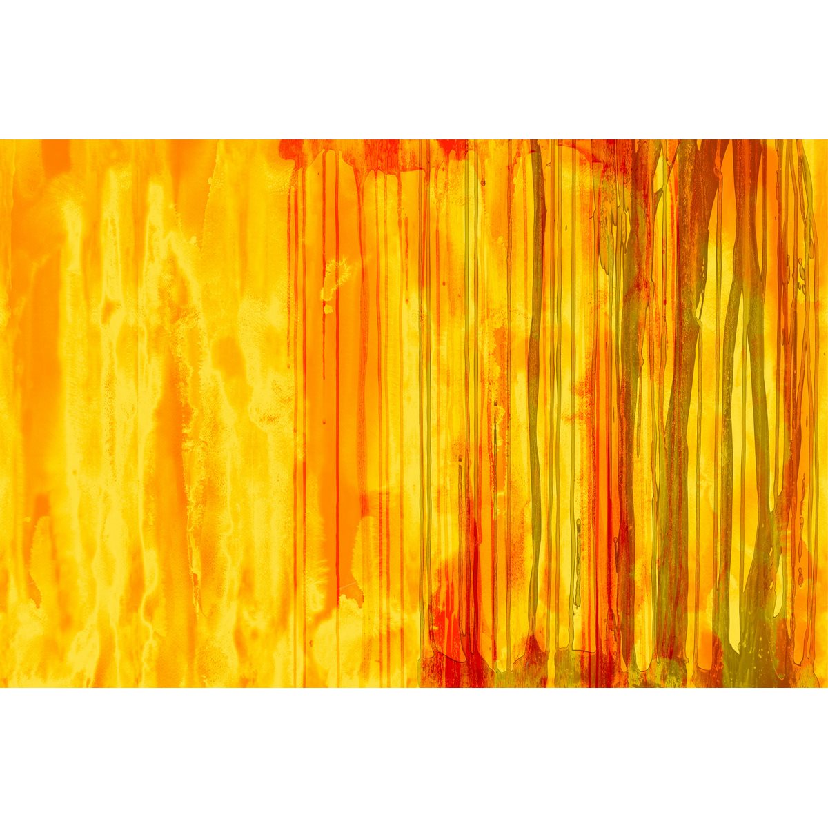 55696-GIORGIA BELTRAMI-JUNG-FIRE