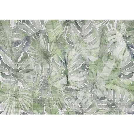 60889-2B-FONTANA FITZCARRALDO GREY-GREEN-FONDO