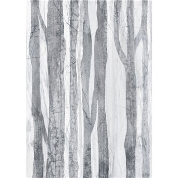 57115-FOREST-WHITE