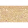 THE_EYE_OF_TIGER ACG-22 B
