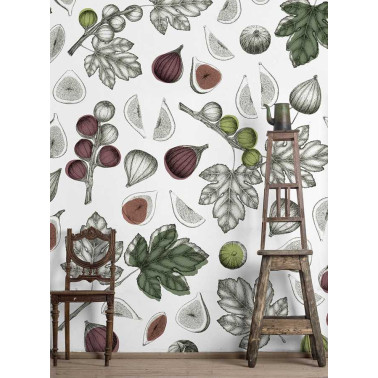 FICUS CARICA CO-02