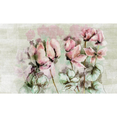 FADING CYCLAMEN PC-17