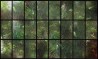 THE WORLD OUTSIDE MT-22