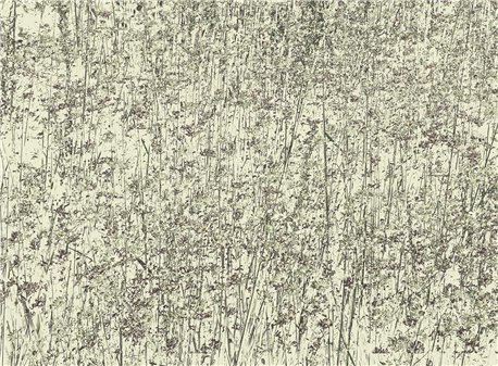 FLORET TV-01 B