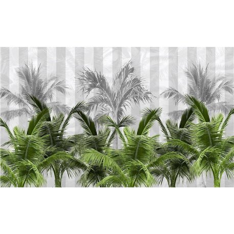 PALMS SPRING MZ-02