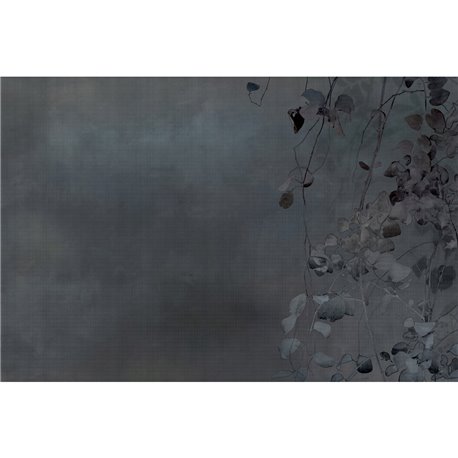 EDERA GLXII222A EDERA GLXII222A