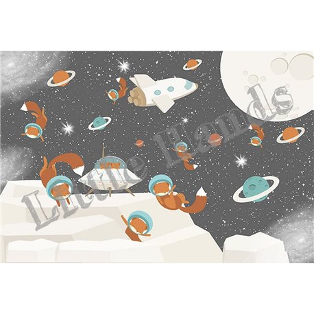 Little Foxes In Space