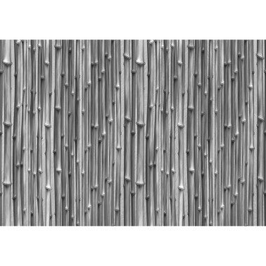 3D 22