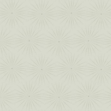 Starlight Grey Glint BO6693
