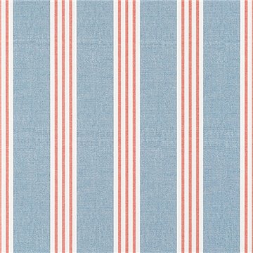 Canvas Stripe Blue and Coral T13362
