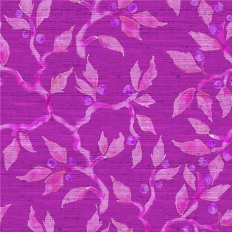 Vesper Fuchsia Vesper Fuchsia