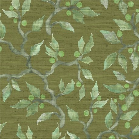 Vesper Olive Vesper Olive