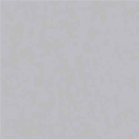 61051 61051