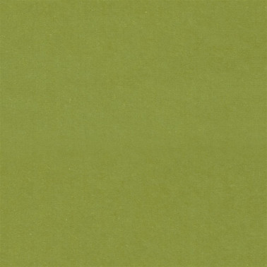 F2034_43 CASSIA
