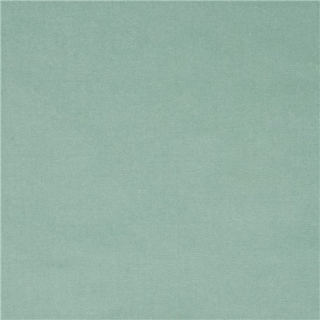 F2034_48 CASSIA F2034_48 CASSIA