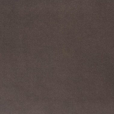 F2034_16 CASSIA