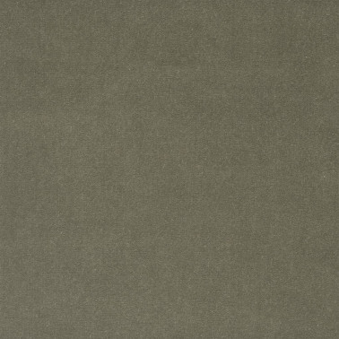 F2034_08 CASSIA