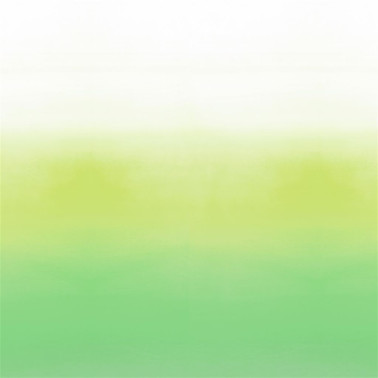 PDG1059/02 SAVOIE LEMONGRASS